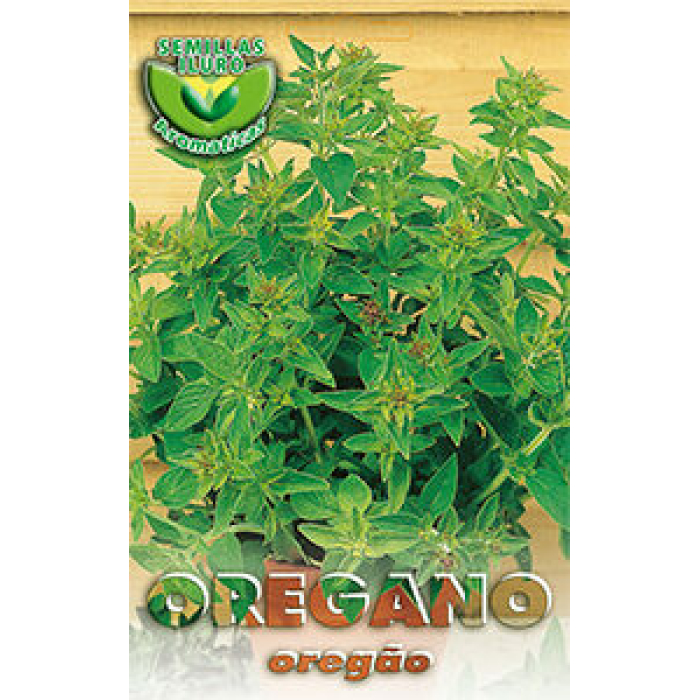 OREGANO