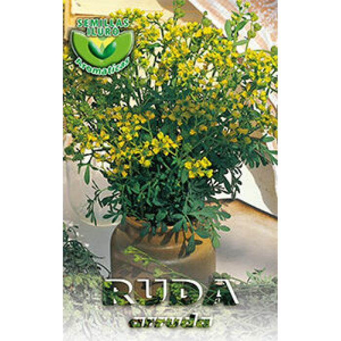 RUDA