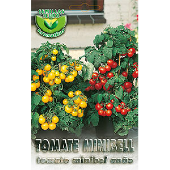 TOMATE MINIBELL