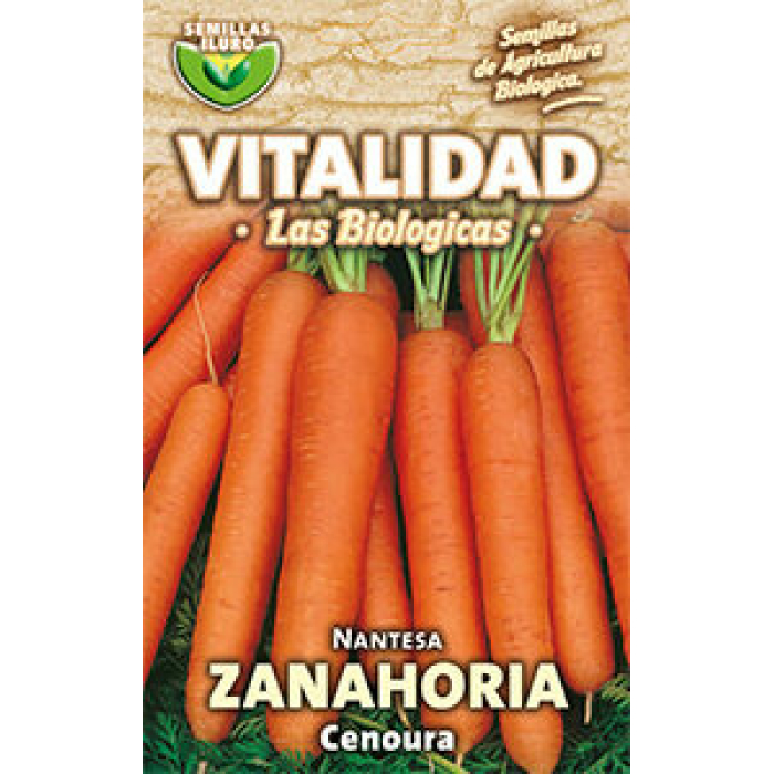 ZANAHORIA NANTESA 2
