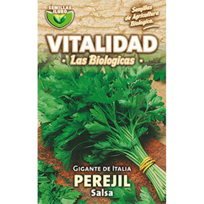 PEREJIL GIGANTE DE ITALIA