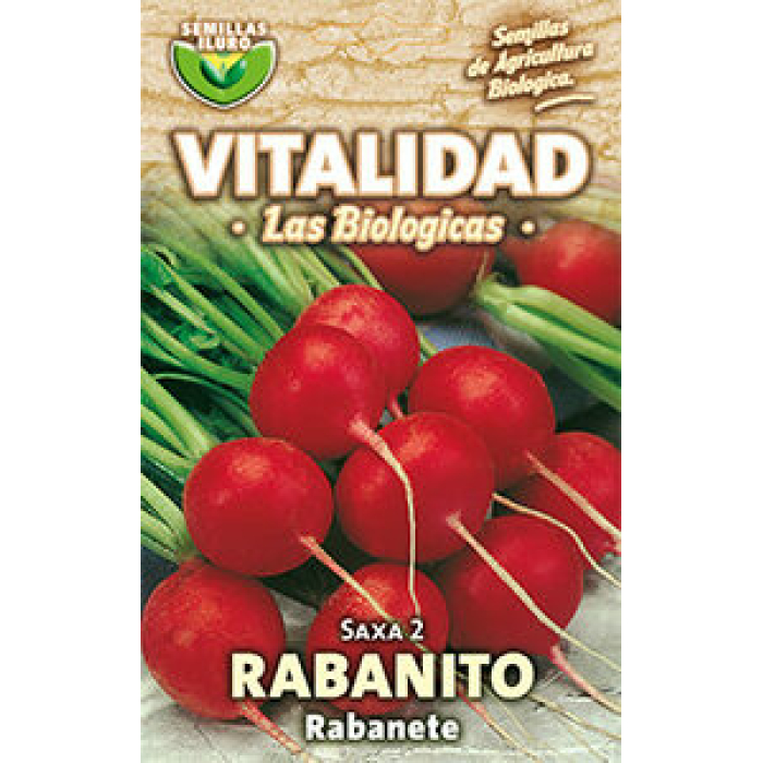 RABANITO SAXA 2