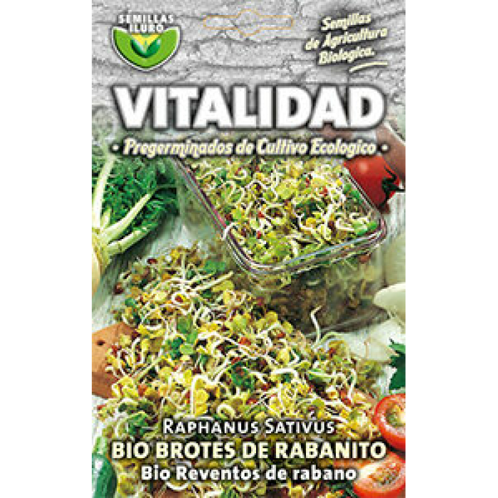RABANITO