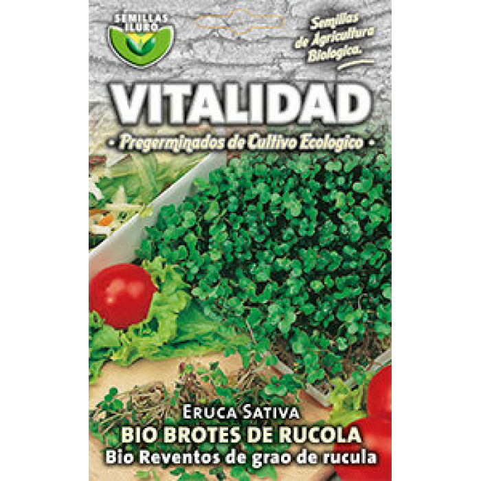 RUCOLA