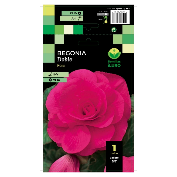 BEGONIA DOBLE ROSA