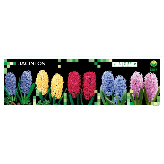 COFRE JACINTO