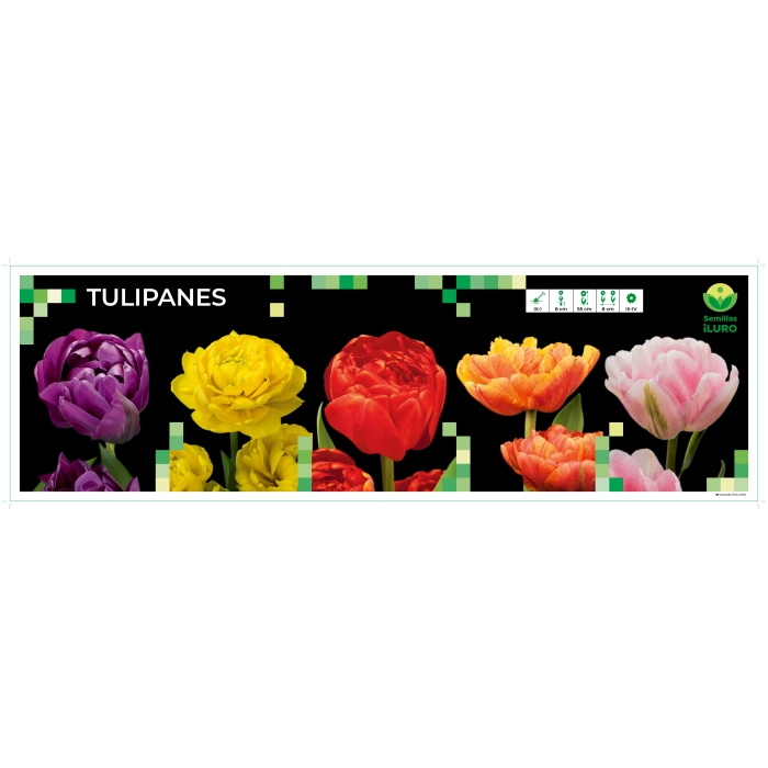 COFRE TULIPÁN DOBLE