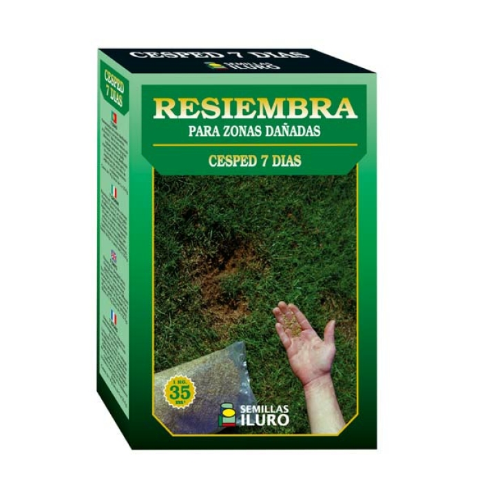 MEZCLA DE SEMILLAS DE CÉSPED 7 DÍAS, 1 KILO
