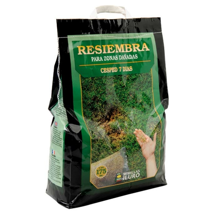 MEZCLA DE SEMILLAS DE CÉSPED 7 DÍAS, 5 KILOS