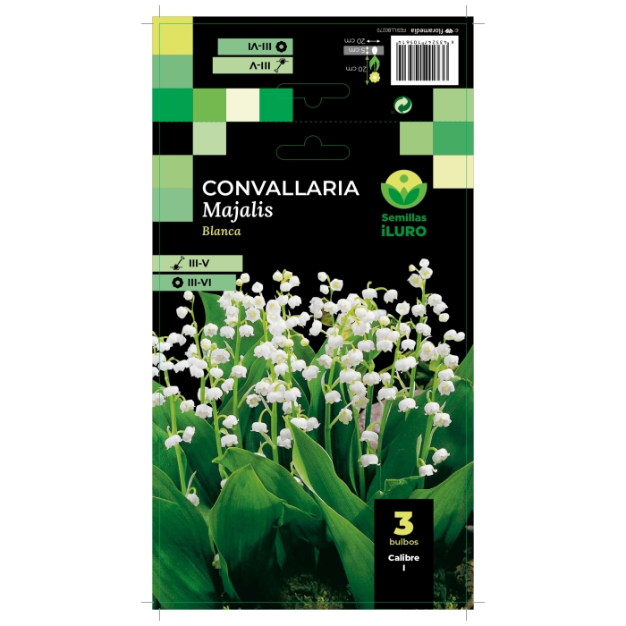 CONVALLARIA MAJALIS