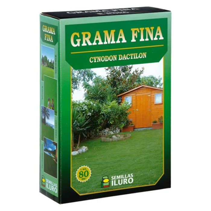 CYNODON DACTILON (GRAMA FINA), 1 KILO