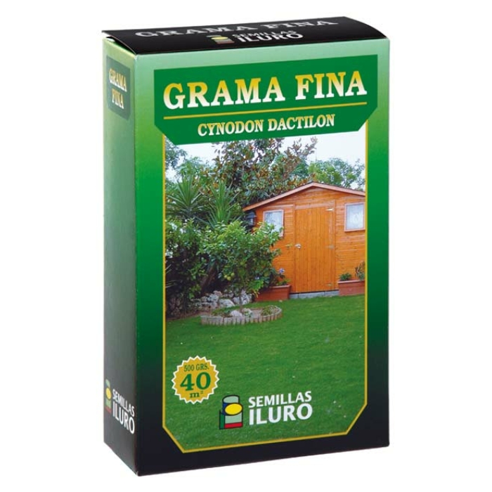 CYNODON DACTILON (GRAMA FINA), 500 GRAMOS