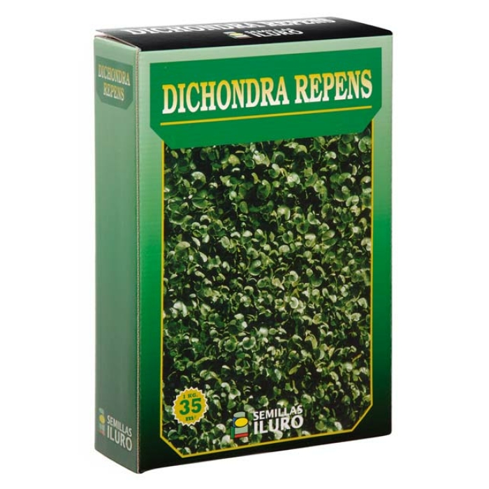 DICHONDRA REPENS, 1 KILO