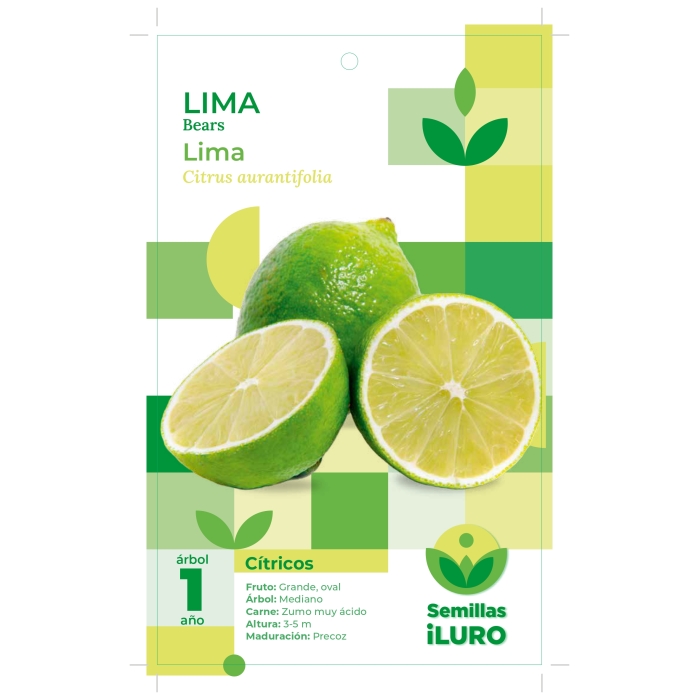 LIMA