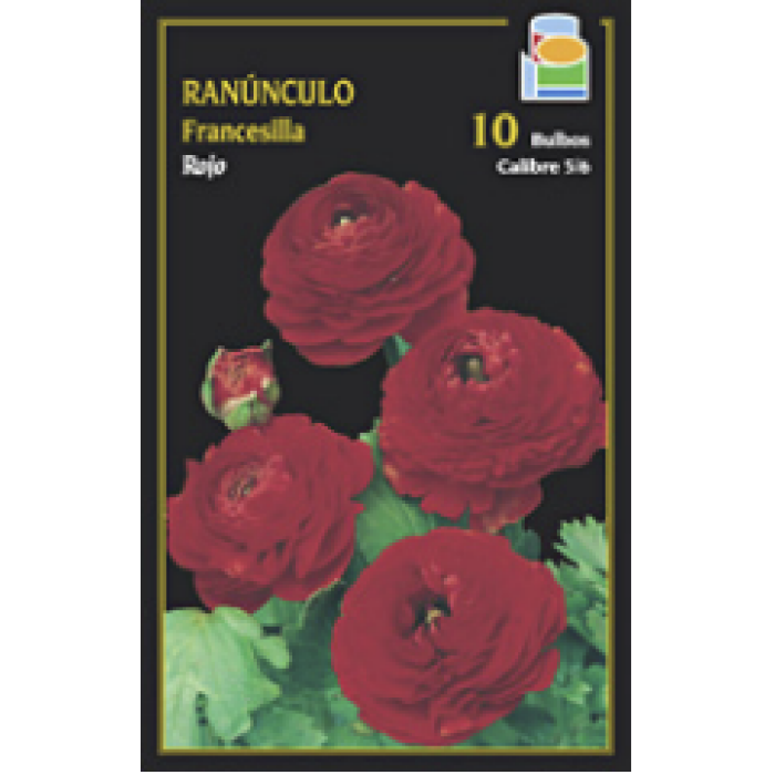 FRANCESILLA ROJA
