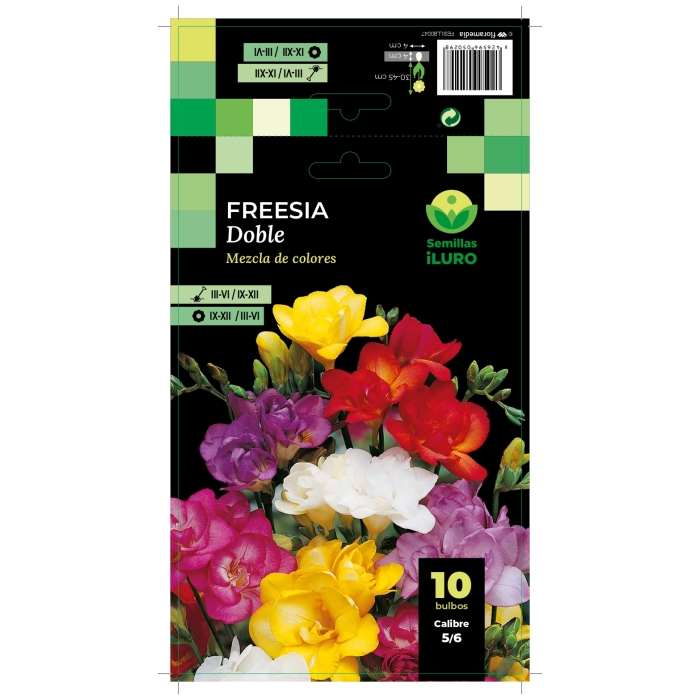 FREESIA DOBLE MEZCLA