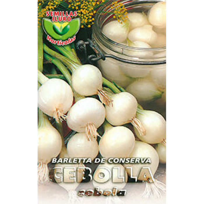 CEBOLLA BARLETTA DE CONSERVA
