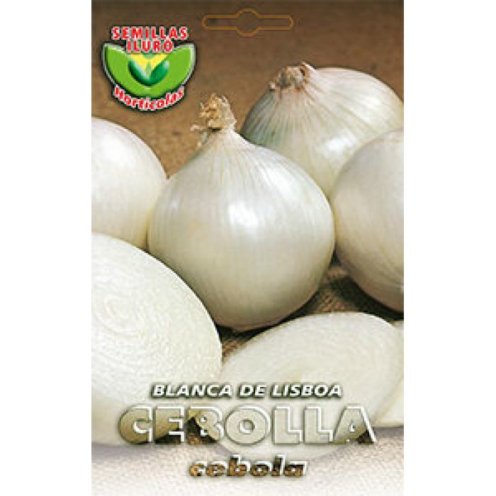 CEBOLLA BLANCA DE LISBOA