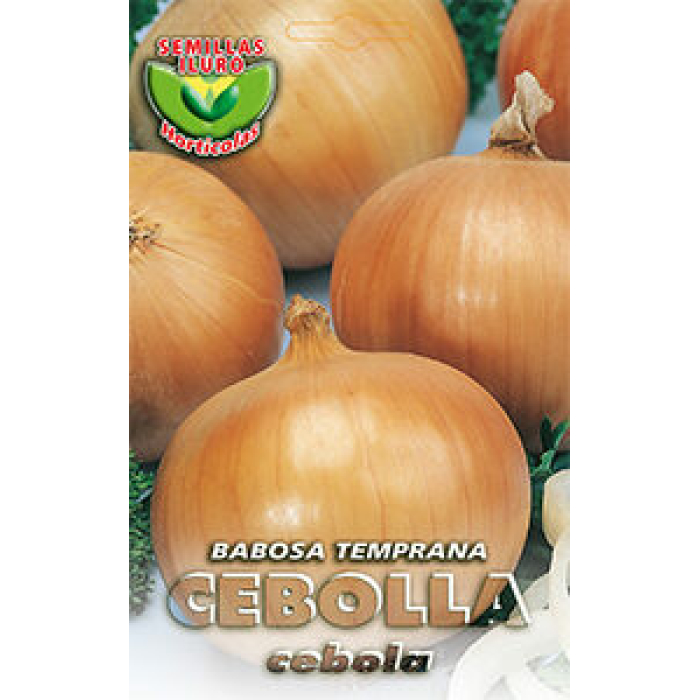 CEBOLLA BABOSA TEMPRANA