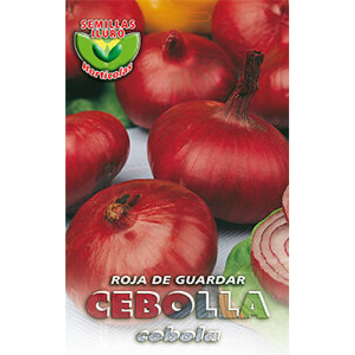 CEBOLLA ROJA DE GUARDAR