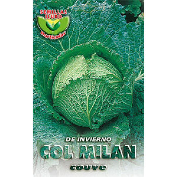 COL MILÁN DE INVIERNO