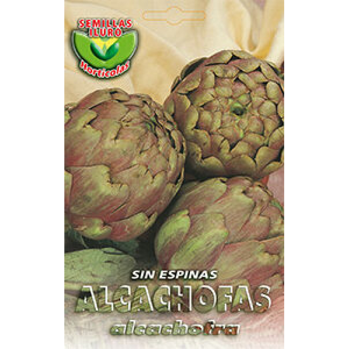 ALCACHOFAS SIN ESPINAS