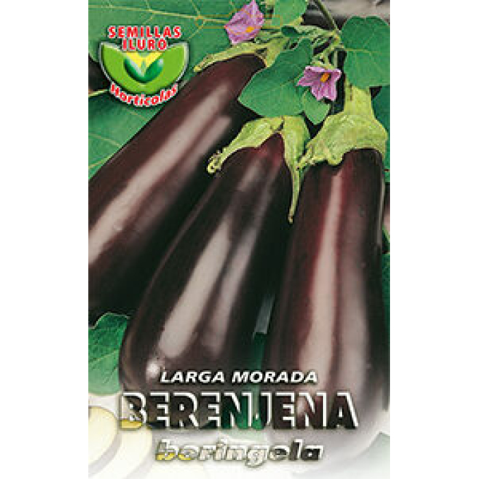 BERENJENA LARGA MORADA