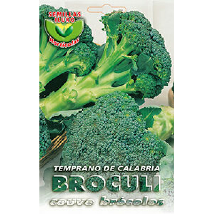 BROCOLI TEMPRANO DE CALABRIA