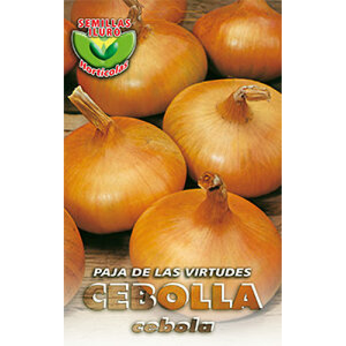 CEBOLLA PAJA DE LAS VIRTUDES