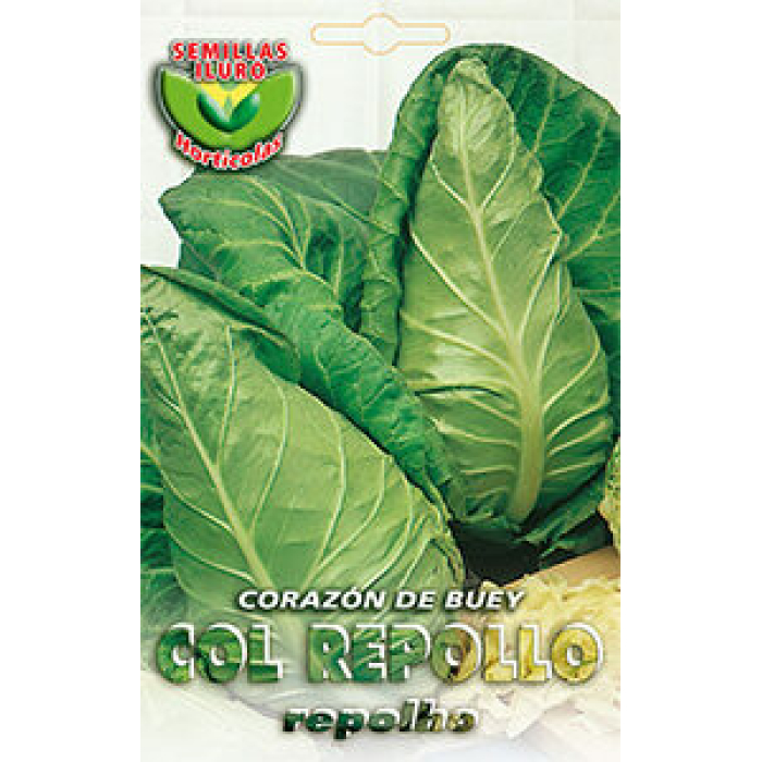 COL REPOLLO CORAZÓN DE BUEY