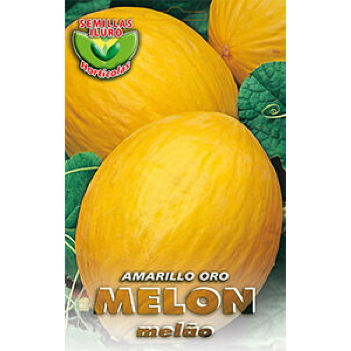MELÓN AMARILLO ORO