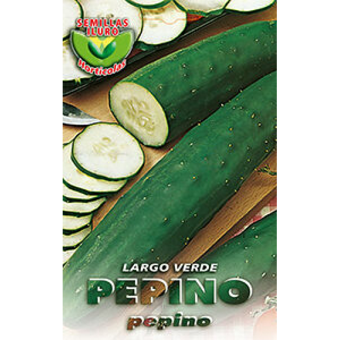 PEPINO LARGO VERDE