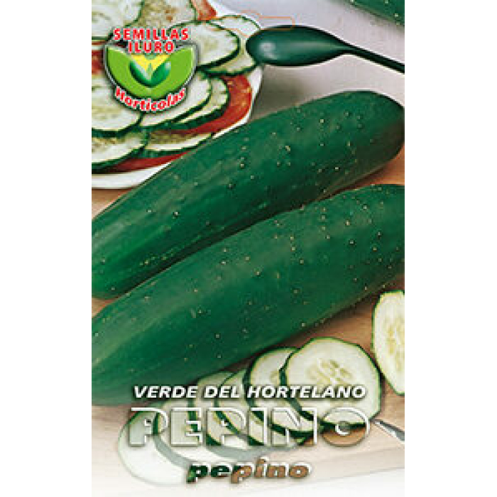 PEPINO VERDE HORTELANO
