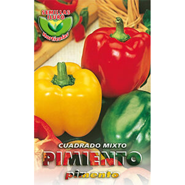 PIMIENTO CUADRADO MIXTO