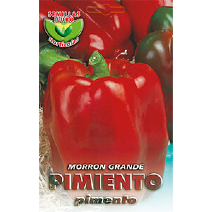 PIMIENTO MORRÓN GRANDE