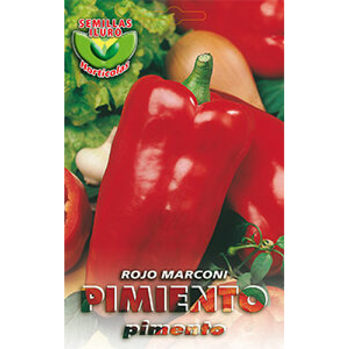 PIMIENTO ROJO MARCONI