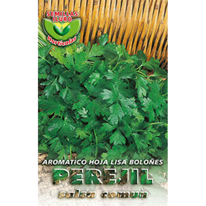 PEREJIL AROMÁTICO HOJA LISA BOLOÑÉS