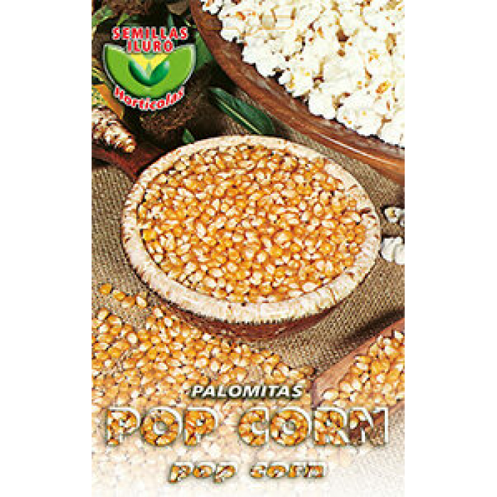 POP CORN (PALOMITAS)