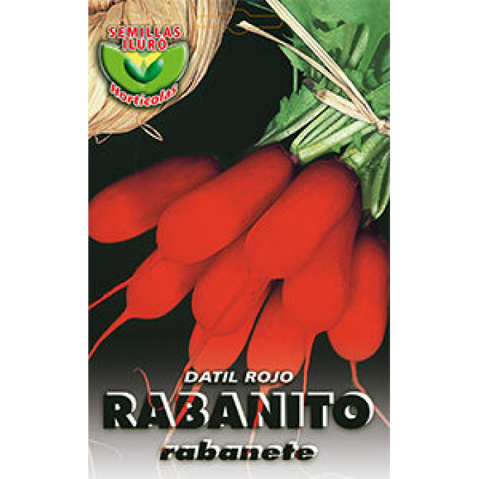 RABANITO MEDIO LARGO ROJO