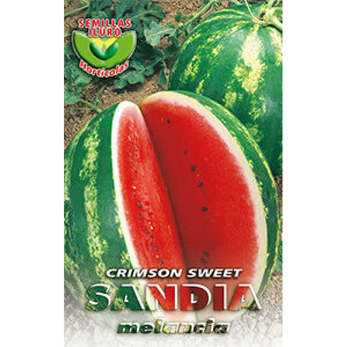 SANDÍA CRIMSON SWEET
