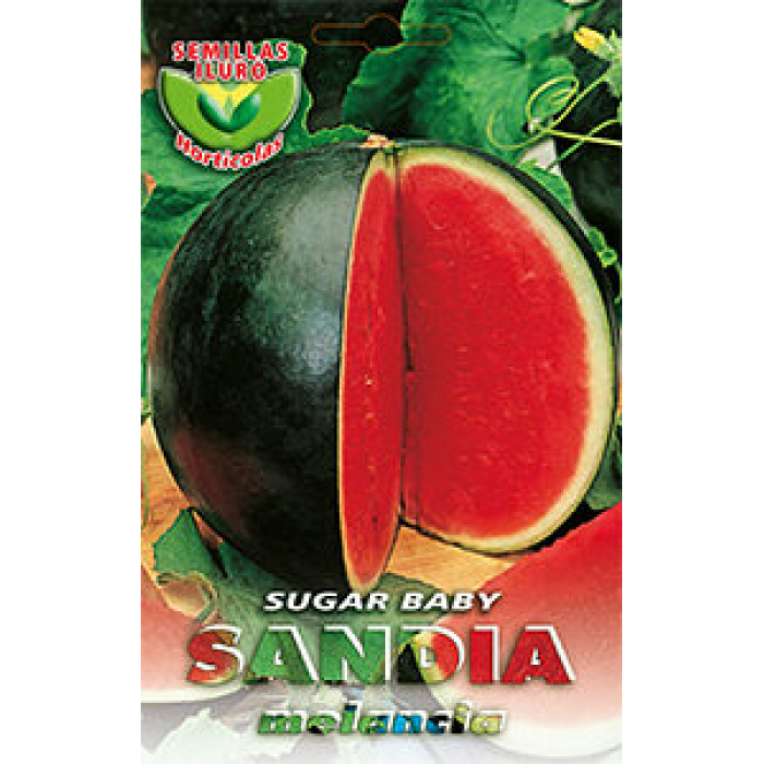 SANDÍA SUGAR BABY