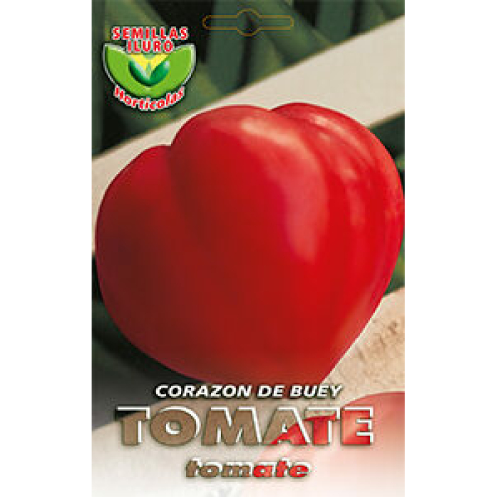 TOMATE CORAZÓN DE BUEY