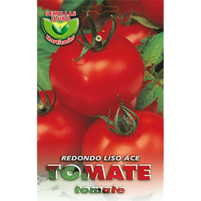TOMATE REDONDO LISO ACE