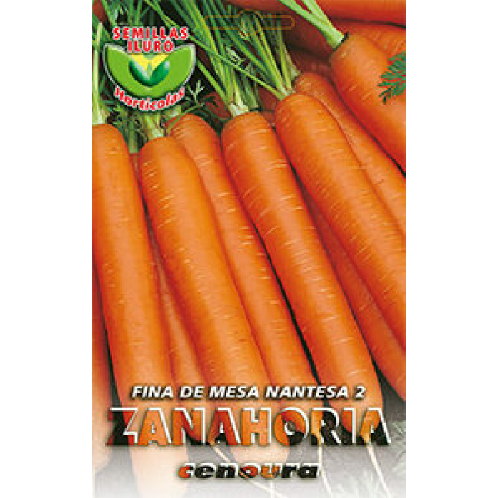 ZANAHORIA FINA DE MESA NANTESA 2