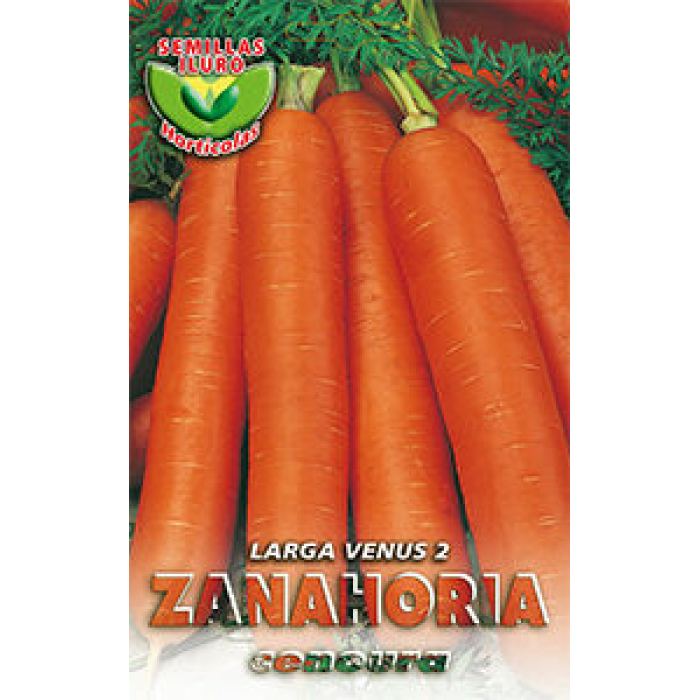 ZANAHORIA LARGA VENUS 2