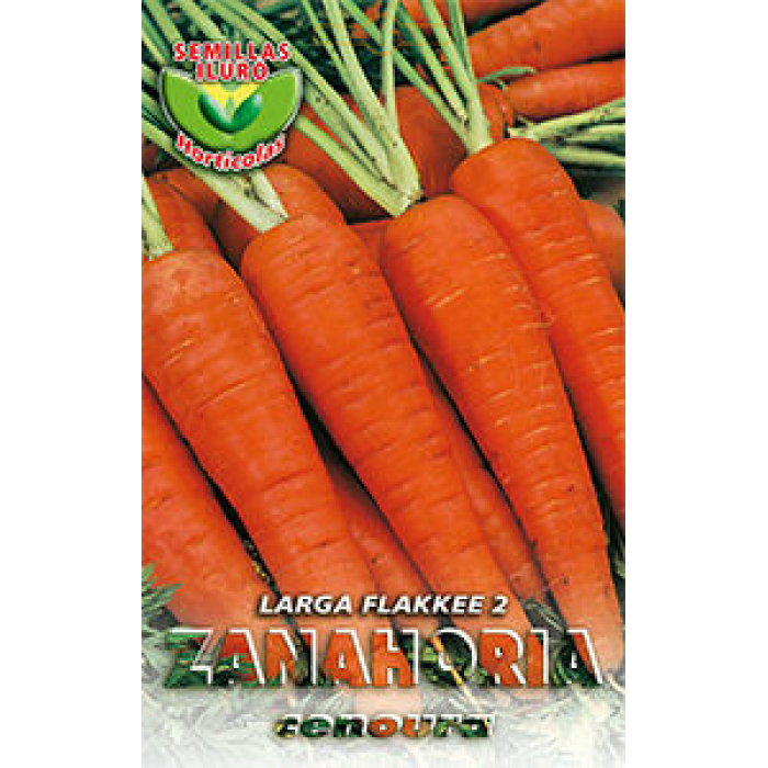 ZANAHORIA LARGA FLAKKEE 2