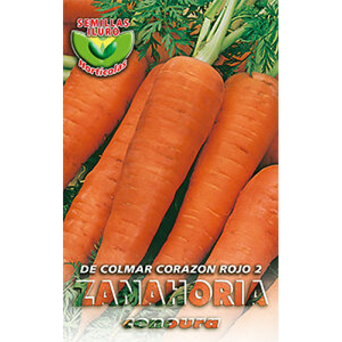 ZANAHORIA DE COLMAR CORAZÓN ROJO 2