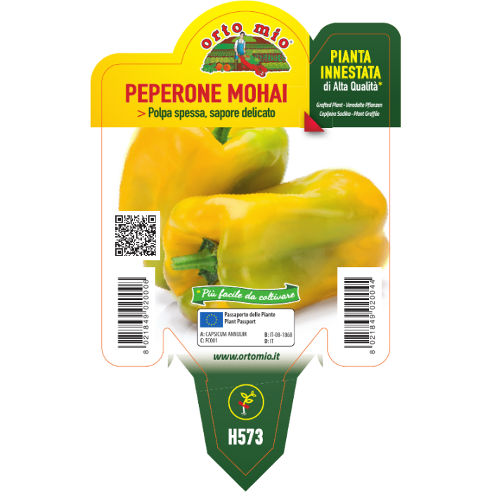 PIMIENTO CUADRADO AMARILLO var. MOHAY F1 - Imagen 2