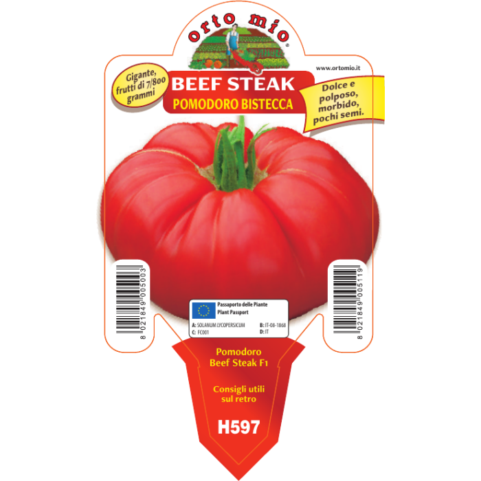 TOMATE GIGANTE  var. BEEFSTEAK F1