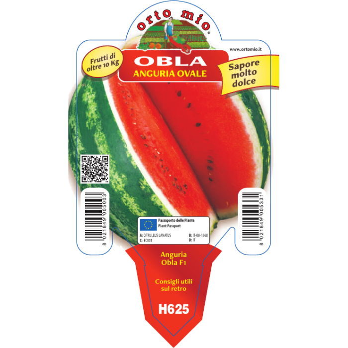 SANDIA OVALADA var. OBLA F1 (Tipo Crimson)